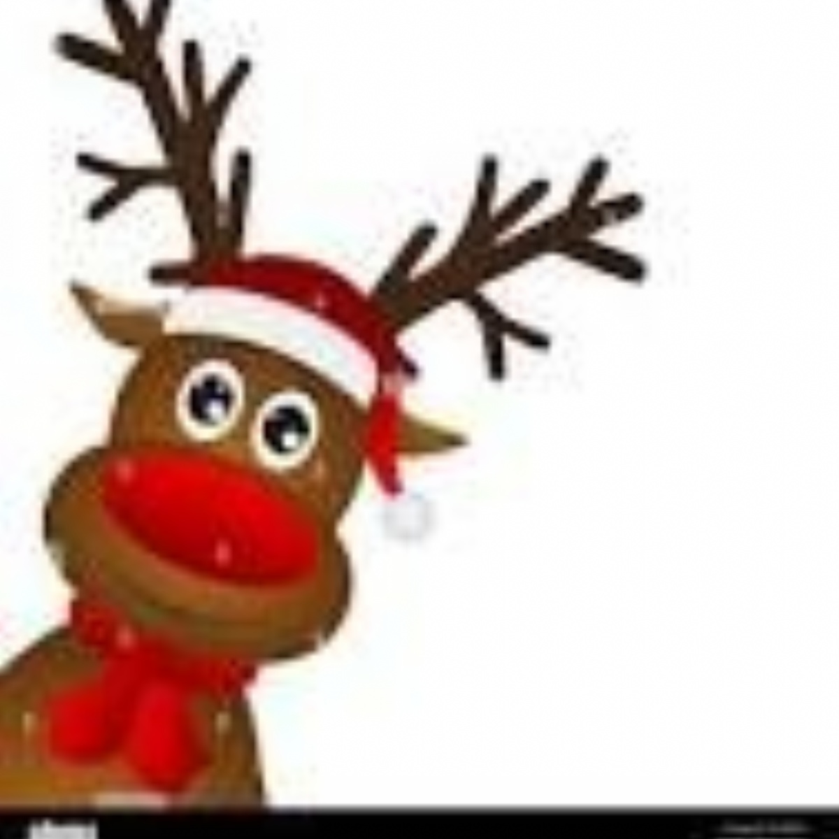 Horncaste news christmas apeal